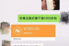 工布江达专业催债公司的市场需求和前景分析